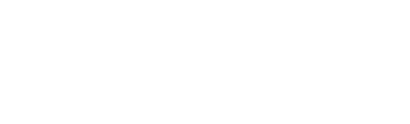 Seine Metaal & Snijtechniek